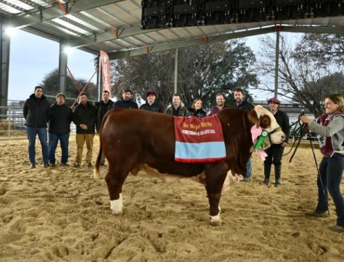 Histórica jura Braford en la Expo Rural de San Justo: grandes campeones y proyección nacional
