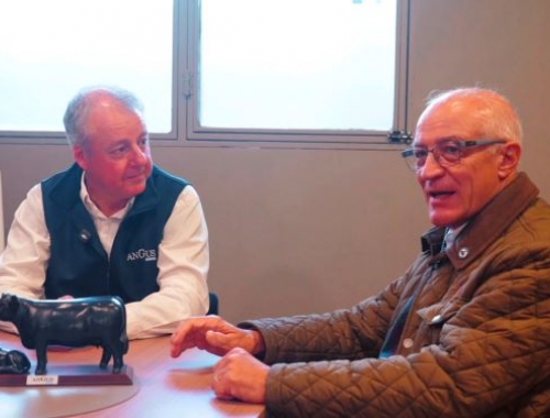 De Palermo al rodeo: cómo la genética Angus impacta en todo el país
