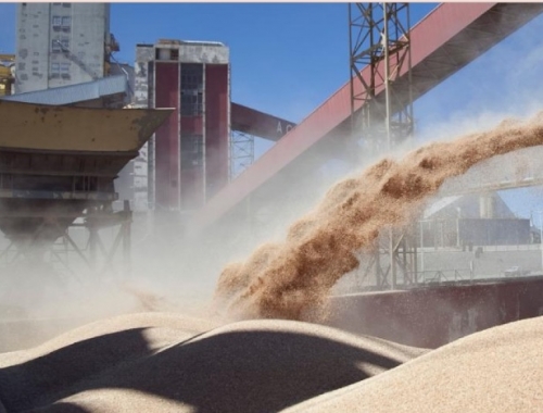 Exportadores de granos a China: abrió la inscripción