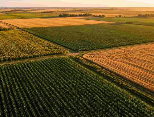 Agricultura argentina: qué cambió en 10 años y qué cultivos ganaron