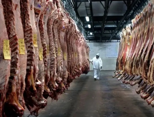 Las exportaciones de carne bovina crecieron 37% y generaron USD 2.676 millones en el primer semestre de 2026