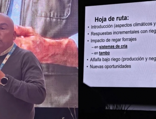 Riego en ganadería: cómo reducir el riesgo y sostener la producción