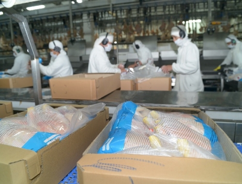 Argentina reabre el mercado de Japón para la carne aviar