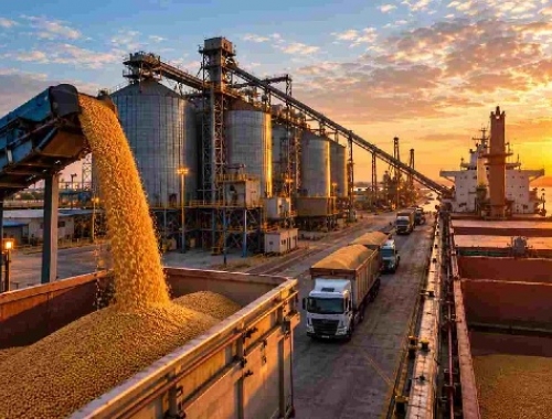Exportaciones agro: récord histórico con 80,7 Mt hasta agosto