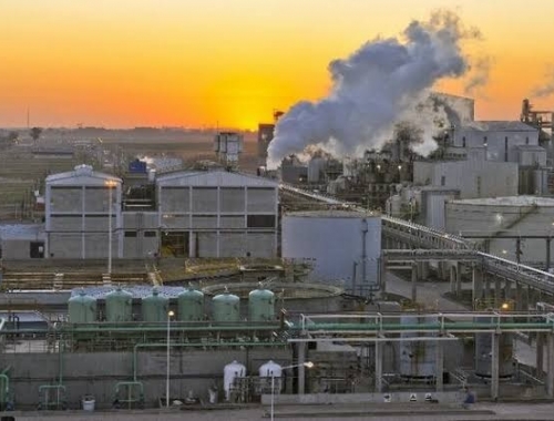 Biodiesel en Argentina: producción estancada y récord global