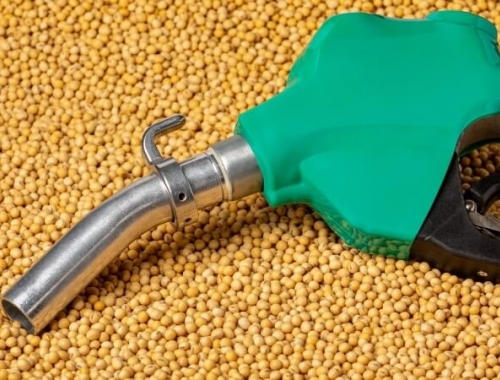 Biocombustibles: el nuevo motor que cambia el mercado de la soja y el maíz