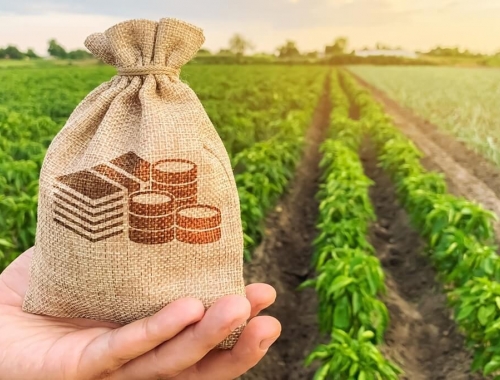 Campaña 2026/27: cuánto cuesta financiarse para producir en el campo