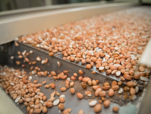 Exportaciones agroindustriales: Argentina bate récord con 88,9 millones de toneladas