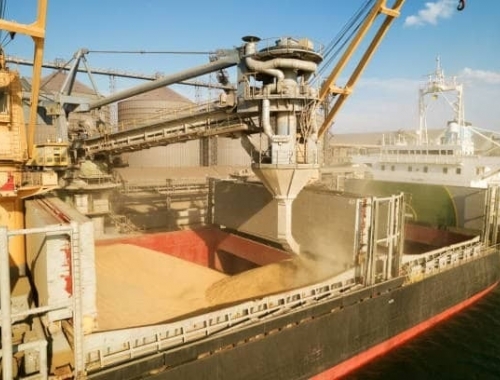 El agro argentino comercializó un récord de 105 millones de toneladas