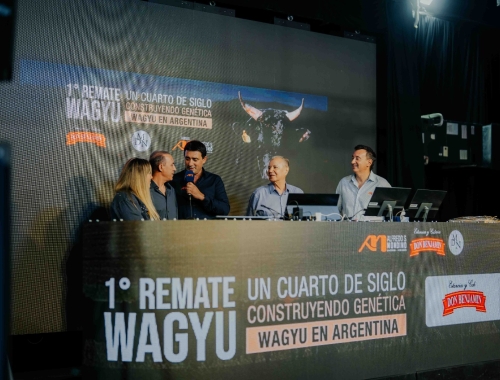 Wagyu en ArgenCarne 2026: la raza que busca agregar valor a la carne