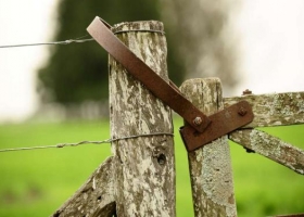 Procesaron a cinco empresarios “cerealeros” por perjuicio a la AFIP por $700 millones