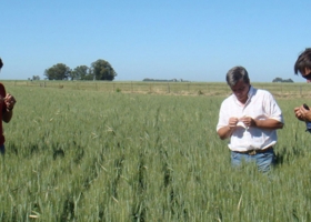 Inmobiliario Rural: el agro analiza cómo reaccionar