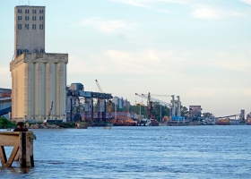 El ingreso de maíz al Gran Rosario durante el 2017 marcó un récord en 15 años