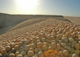 Estiman que el campo tiene soja sin vender por casi US$4200 millones.