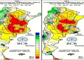 La reciente tanda cosechada con soja de primera suma mejores resultados