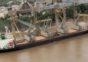 La importación de soja alcanzaría este año los 5 millones de toneladas