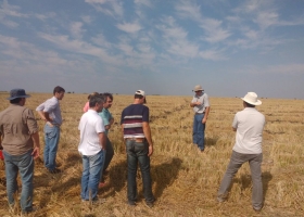 Avanza el diseño de la norma IRAM de Buenas Prácticas Agrícolas