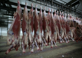 Después de siete años, Mattievich reabre un frigorífico en Carcarañá.