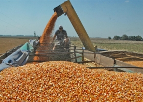 Granos: alertan por nuevas demoras en la devolución del IVA.