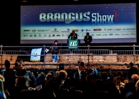 La Rural: juran las principales razas y esperan más extranjeros en las ventas por la mejora en el tipo de cambio.