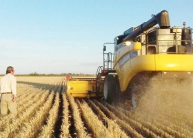 Carta de Porte: guía de la AFIP para realizar el trámite online