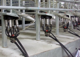 El ordeño robótico mejora la calidad de vida en el tambo