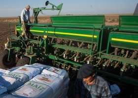 Manejo: la estrategia que conduce al éxito