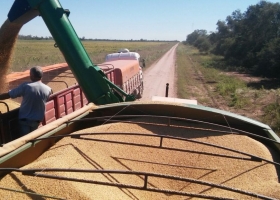 La molienda de soja fue la única actividad industrial que no cayó en abril