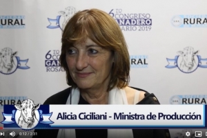 Ministra Alicia Ciciliani en el 6to congreso ganadero Rosario 2019
