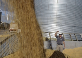 La molienda de soja de Abril-Septiembre es la más alta de los últimos años