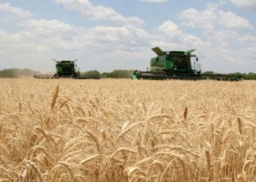 Con una gran demanda de Brasil, crece el compromiso de embarque de trigo argentino