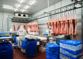 Oportunidad: Argentina ya tiene once frigoríficos porcinos habilitados para exportar carne a China
