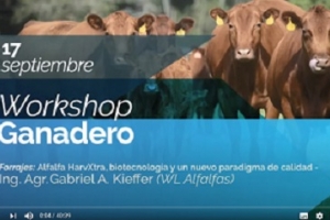 Workshop Ganadero 2020 - Charla de Forrajes, auspiciada por WL Alfalfas
