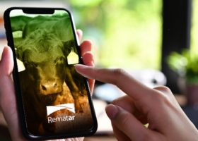 Con demanda sostenida, se realizaron dos nuevas subastas del Rosgan en Rematar