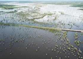 Bajos submeridionales: senadores aprobaron la creación de un comité para preservar los recursos naturales