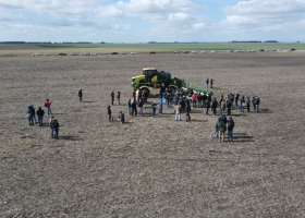 Malezas: de qué se trata el gran golpe