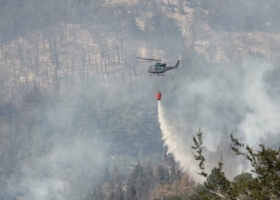 El Gobierno declaró la emergencia ígnea por los incendios forestales