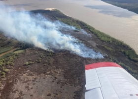 Productores fueron al Senado a explicar que no causan los incendios en el Delta del Paraná. Qué dijeron