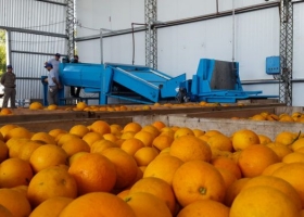 Destinarán 1.000 millones de pesos en aportes no reintegrables para las cooperativas agropecuarias