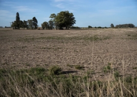 La sequía ya es severa en más de 22 millones de hectáreas y golpea a la más importante región
