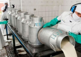 Dólar soja la industria lechera alertó por los “efectos negativos” en medio de la sequía