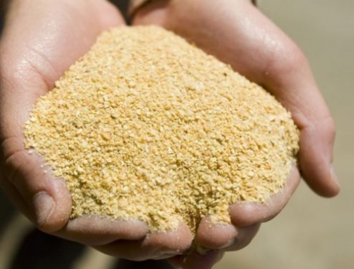 Ahora la estrella del mercado internacional es la harina de soja gracias a la incertidumbre presente en la Argentina