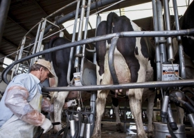 Tambos: situación muy compleja por la sequía