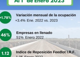 Sube la ocupación de los feedlots por la pérdida de pastos