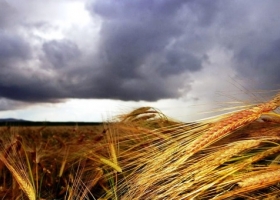 La FAO advierte que Argentina tendrá lluvias en exceso desde junio
