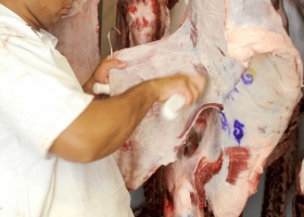 El precio de la carne vacuna finalmente logró empatar a la inflación general de alimentos luego de más de un año de retraso
