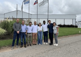 Una empresa argentina, pionera a nivel mundial producirá papas con huella de carbono certificada