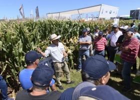 El campo se anticipa a la dolarización con una inusual demanda de créditos en dólares