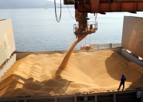 Aumenta la proporción de embarques de trigo desde los puertos del Up-River