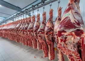 Estamos fuera de mercado la industria exportadora de carne dice que quedó cara en dólares y hace una advertencia